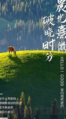 比特币德州扑克-比特币德州扑克，一场数字时代的博弈