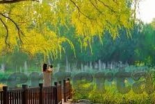 德州扑克天龙 扑克-德州扑克，天龙世界的智慧博弈